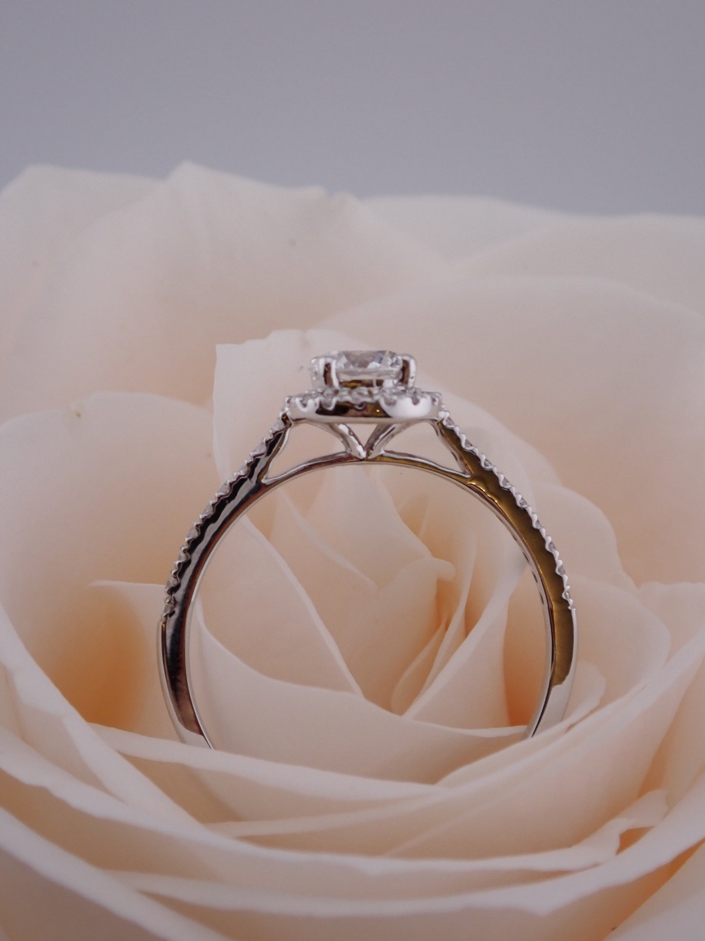 Daphne-Round Ring