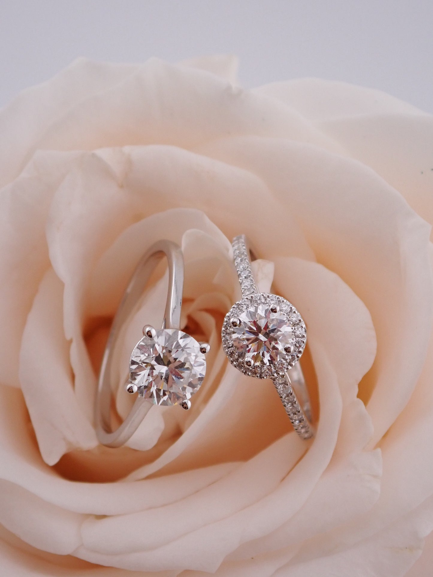 Daphne-Round Ring