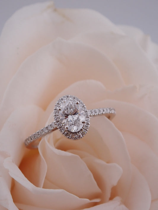 Daphne-Oval Ring