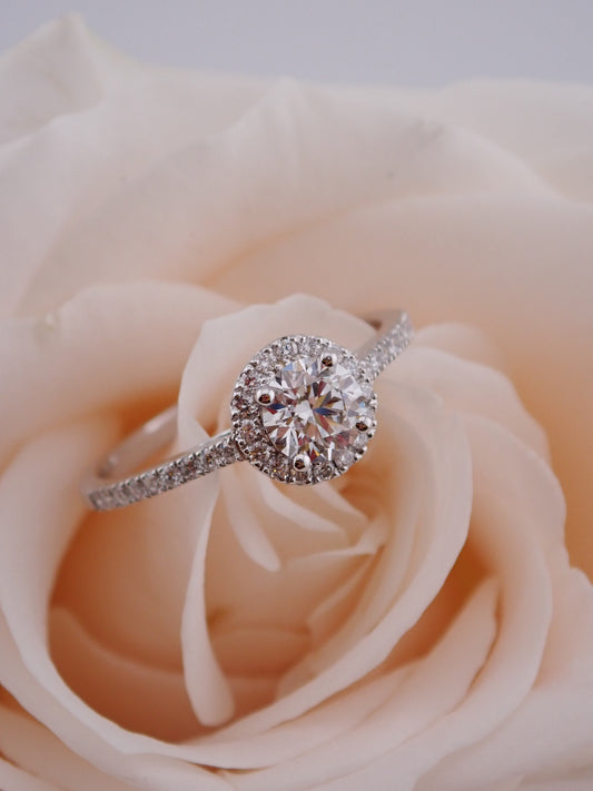 Daphne-Round Ring